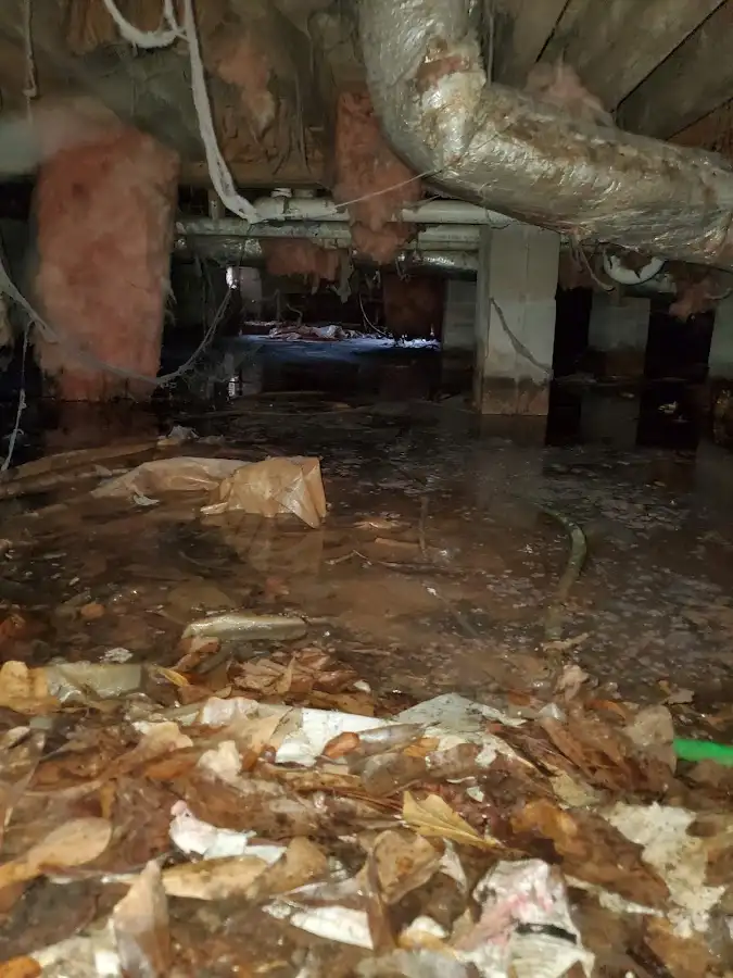 Crawl space flood assessment for Leak Detection & Repair in Lehighton