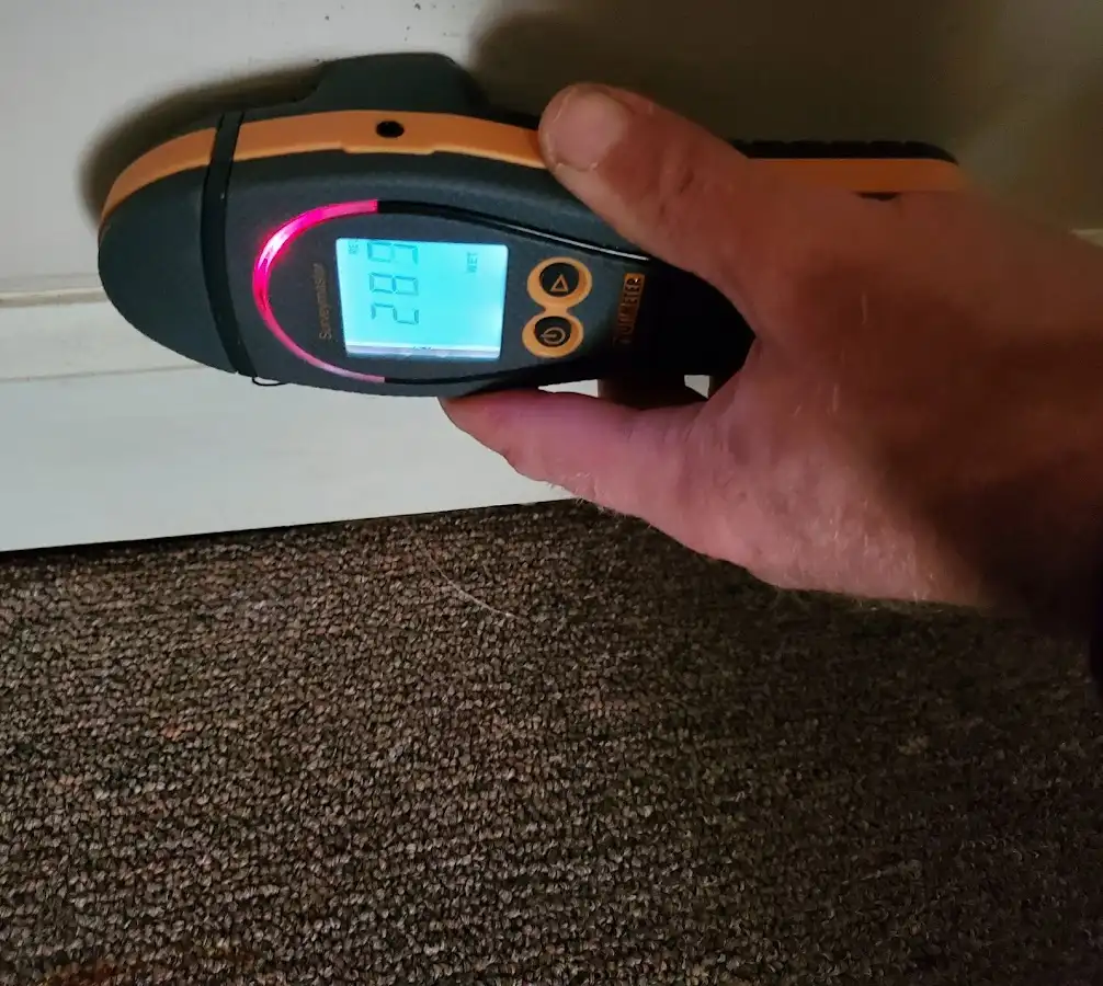 Moisture detection at baseboard during Sewage Cleanup & Sanitation in Lehighton
